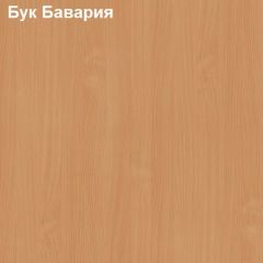 Антресоль для шкафа Логика Л-14.1 в Казани - kazan.mebel24.online | фото 2