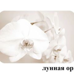 БОСТОН опоры Брифинг в Казани - kazan.mebel24.online | фото 18