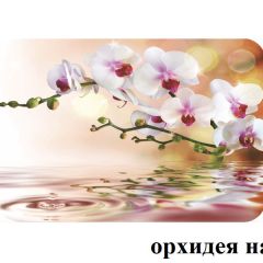 БОСТОН опоры Брифинг в Казани - kazan.mebel24.online | фото 21