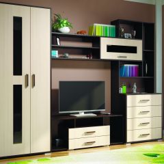 Гостиная ЕВРОПА-1 (Венге/Дуб молочный) в Казани - kazan.mebel24.online | фото