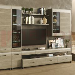 Гостиная Камелия Композиция 1 (Гикори Джексон светлый) в Казани - kazan.mebel24.online | фото