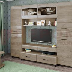Гостиная Камелия Композиция 10 (Гикори Джексон светлый) в Казани - kazan.mebel24.online | фото