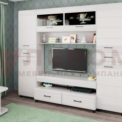 Гостиная Камелия Композиция 10 (Снежный ясень) в Казани - kazan.mebel24.online | фото
