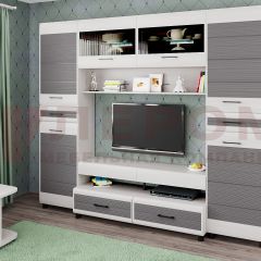 Гостиная Камелия Композиция 10 (Снежный ясень - серый) в Казани - kazan.mebel24.online | фото