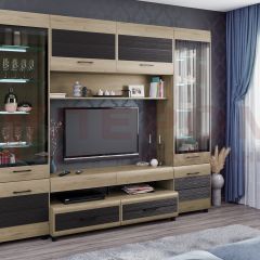 Гостиная Камелия Композиция 11 (Гикори Джексон светлый комбинированный) в Казани - kazan.mebel24.online | фото
