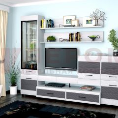 Гостиная Камелия Композиция 5 (Снежный ясень - серый) в Казани - kazan.mebel24.online | фото