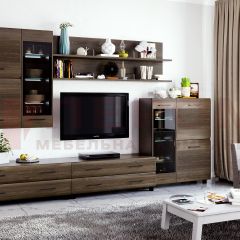 Гостиная Камелия Композиция 6 (Гикори Джексон темный) в Казани - kazan.mebel24.online | фото