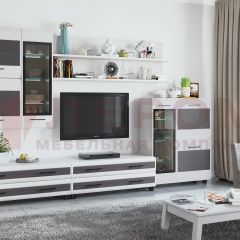 Гостиная Камелия Композиция 6 (Снежный ясень - серый) в Казани - kazan.mebel24.online | фото