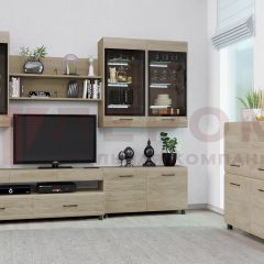 Гостиная Камелия Композиция 8 (Гикори Джексон светлый) в Казани - kazan.mebel24.online | фото 3