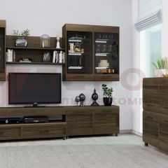 Гостиная Камелия Композиция 8 (Гикори Джексон темный) в Казани - kazan.mebel24.online | фото