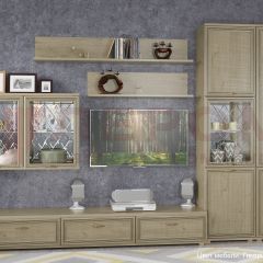 Гостиная Карина Композиция 1 (Гикори Джексон светлый) в Казани - kazan.mebel24.online | фото