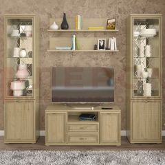 Гостиная Карина Композиция 13 (Гикори Джексон светлый) в Казани - kazan.mebel24.online | фото
