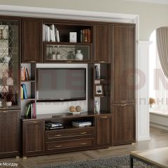 Гостиная Карина Композиция 2 (Акация Молдау) в Казани - kazan.mebel24.online | фото