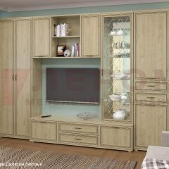 Гостиная Карина Композиция 21 (Гикори Джексон светлый) в Казани - kazan.mebel24.online | фото 6