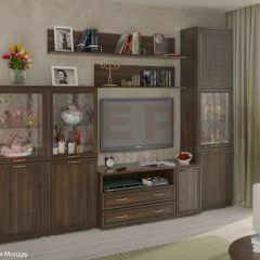 Гостиная Карина Композиция 22 (Акация Молдау) в Казани - kazan.mebel24.online | фото
