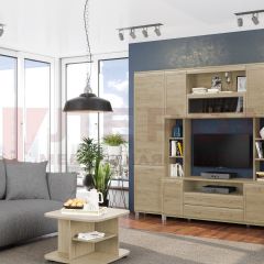 Гостиная Мелисса Композиция 2 (Гикори Джексон светлый) в Казани - kazan.mebel24.online | фото