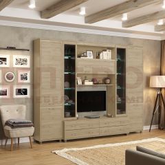Гостиная Мелисса Композиция 9 (Гикори Джексон светлый) в Казани - kazan.mebel24.online | фото 4