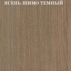 Кровать 2-х ярусная с диваном Карамель 75 (АРТ) Ясень шимо светлый/темный в Казани - kazan.mebel24.online | фото 5