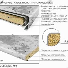 Кухонный фартук со столешницей (А-01) в едином стиле (3050 мм) в Казани - kazan.mebel24.online | фото 6