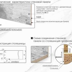 Кухонный фартук со столешницей (А-010) в едином стиле (3050 мм) в Казани - kazan.mebel24.online | фото 6