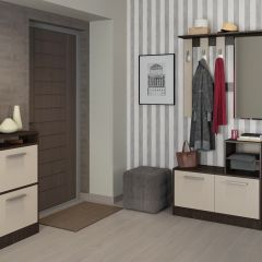 Прихожая Энтер (Венге/Дуб молочный) Комплектация 2 в Казани - kazan.mebel24.online | фото