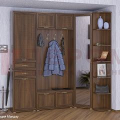 Прихожая Карина композиция 3 (Акация Молдау) в Казани - kazan.mebel24.online | фото