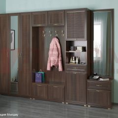 Прихожая Карина композиция 6 (Акация Молдау) в Казани - kazan.mebel24.online | фото