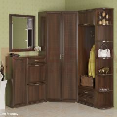 Прихожая Карина композиция 8 (Акация Молдау) в Казани - kazan.mebel24.online | фото