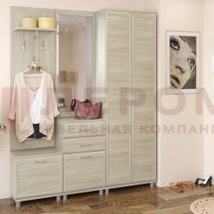 Прихожая Мелисса композиция 11 (Ясень Асахи) в Казани - kazan.mebel24.online | фото
