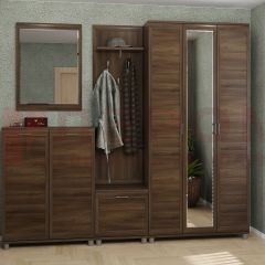 Прихожая Мелисса композиция 2 (Акация Молдау) в Казани - kazan.mebel24.online | фото