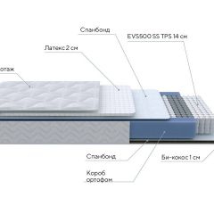 PROxSON Матрас Active Duo S/F (Ткань Трикотаж Эко) 90x190 в Казани - kazan.mebel24.online | фото 7