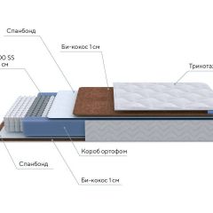 PROxSON Матрас Active F (Ткань Трикотаж Эко) 160x200 в Казани - kazan.mebel24.online | фото 7