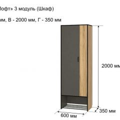 ОЛЬГА-ЛОФТ 3 Шкаф 2-х створчатый в Казани - kazan.mebel24.online | фото 4