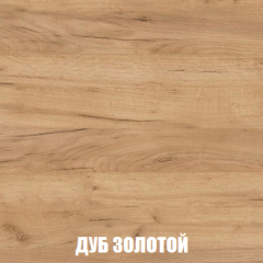 Шкаф 3-х створчатый МСП-1 (Дуб Золотой/Камень темный) в Казани - kazan.mebel24.online | фото 4
