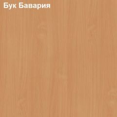 Шкаф для одежды малый Логика Л-8.3 в Казани - kazan.mebel24.online | фото 2