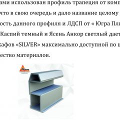 Шкаф-купе 1300 серии SILVER S1+S1+B2+PL2 (2 ящика+1 штанга+1 полка) профиль «Серебро» в Казани - kazan.mebel24.online | фото 4