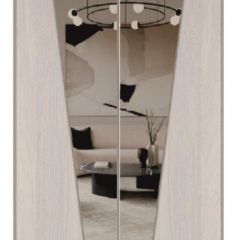 Шкаф-купе 1300 серии SILVER S1+S1+B2+PL2 (2 ящика+1 штанга+1 полка) профиль «Серебро» в Казани - kazan.mebel24.online | фото 12