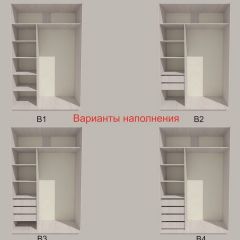 Шкаф-купе 1300 серии SILVER S1+S1+B2+PL2 (2 ящика+1 штанга+1 полка) профиль «Серебро» в Казани - kazan.mebel24.online | фото 5