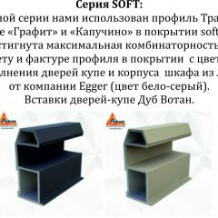 Шкаф-купе 1400 серии SOFT D8+D2+B2+PL4 (2 ящика+F обр.штанга) профиль «Графит» в Казани - kazan.mebel24.online | фото 12