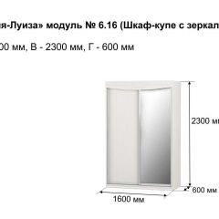 Шкаф-купе 1600 с зеркалом "Мария-Луиза 6.16" в Казани - kazan.mebel24.online | фото 4