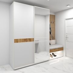Шкаф-купе 1600 серии SOFT D6+D4+B2+PL2 (2 ящика+1штанга+1 полка) профиль «Капучино» в Казани - kazan.mebel24.online | фото 5