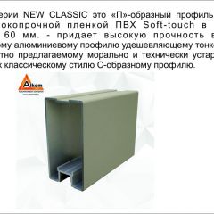 Шкаф-купе 1700 серии NEW CLASSIC K3+K3+B2+PL1 (2 ящика+1 штанга) профиль «Капучино» в Казани - kazan.mebel24.online | фото 5