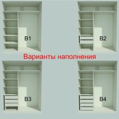 Шкаф-купе 1700 серии NEW CLASSIC K3+K3+B2+PL1 (2 ящика+1 штанга) профиль «Капучино» в Казани - kazan.mebel24.online | фото 7