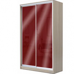 Шкаф-купе ХИТ 22-14-22 (620) в Казани - kazan.mebel24.online | фото 9