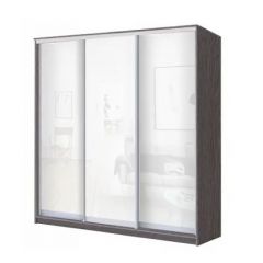 Шкаф-купе ХИТ 23-18/2-888 (620) в Казани - kazan.mebel24.online | фото 1