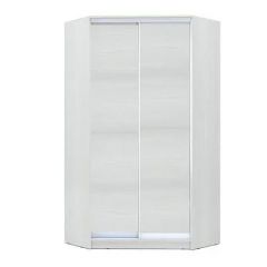 Шкаф-купе ХИТ-У-L-24-64-11 в Казани - kazan.mebel24.online | фото 1