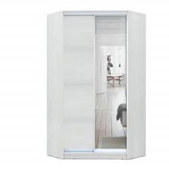 Шкаф-купе ХИТ-У-R-24-64-15 в Казани - kazan.mebel24.online | фото 1
