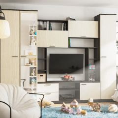 Стенка Марта 11 (Венге/Беленый дуб) в Казани - kazan.mebel24.online | фото