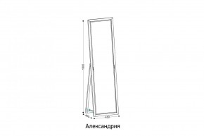 АЛЕКСАНДРИЯ-9.1 Зеркало напольное в Казани - kazan.mebel24.online | фото 2