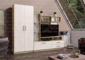 ДАРЬЯ Гостиная (Крафт серый/Крафт белый) модульная в Казани - kazan.mebel24.online | фото